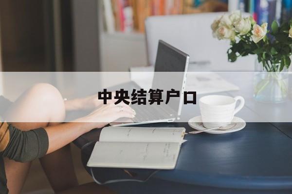 中央结算户口(中央结算中心是什么)